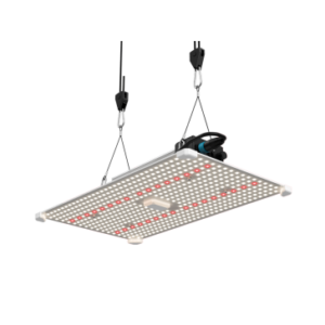 LUMii BLACK Blade 200 W LED